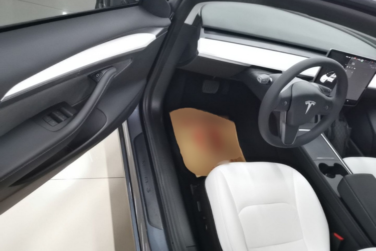 Tesla Model 3 2021 #16 Tesla Model 3 2021 immagine di auto #16
