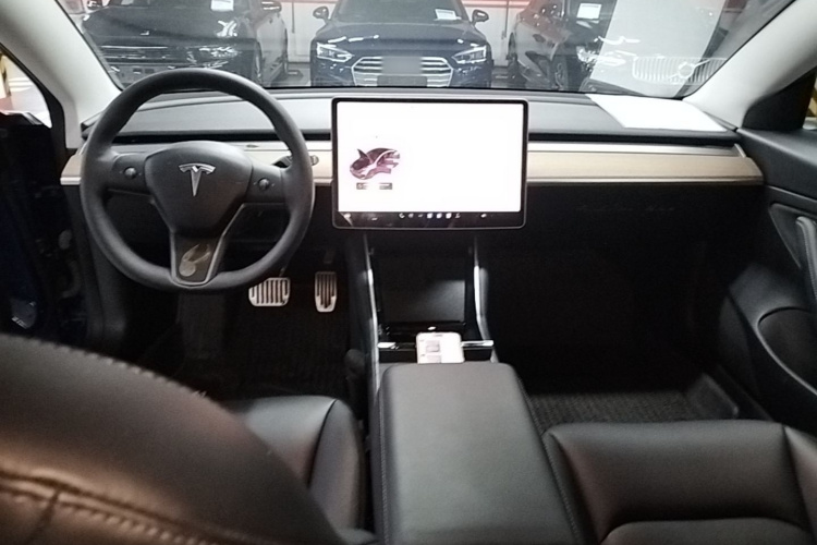 Tesla Model 3 2020 imagen de coche #11