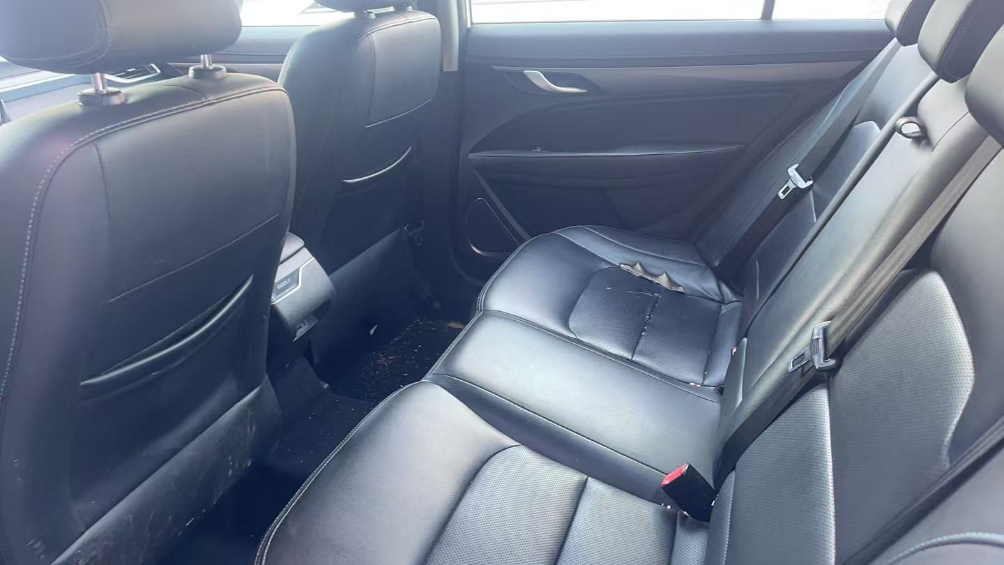GEELY Emgrand New Energy 2018 car image #8