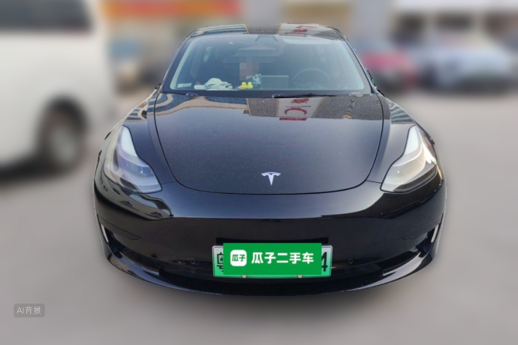 Tesla Model 3 2021 #3 Tesla Model 3 2021 car image #3