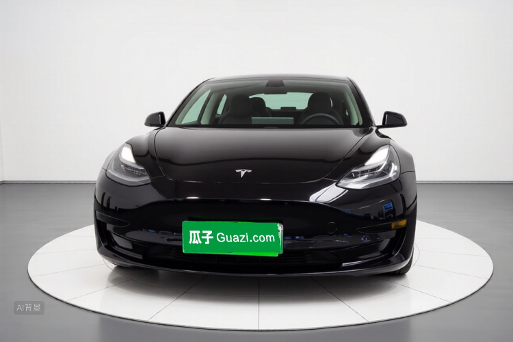 Tesla Model 3 2021 #3 Tesla Model 3 2021 car image #3
