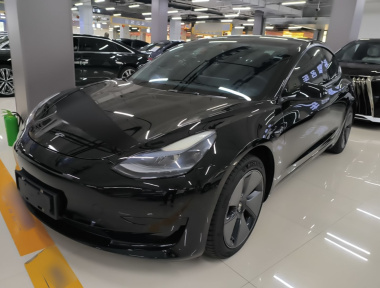 Tesla Model 3 2022 Tesla Model 3 2022 immagine di auto