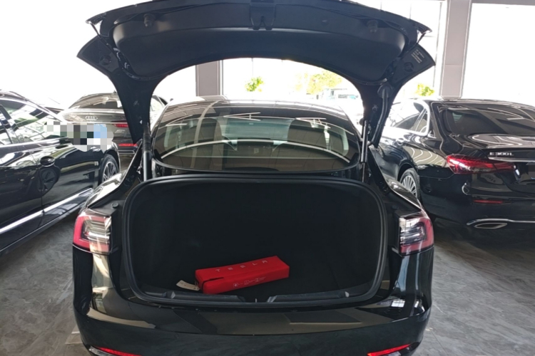 Tesla Model 3 2023 #19 Tesla Model 3 2023 car image #19