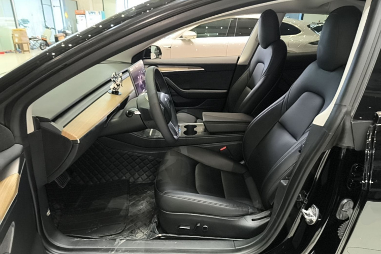 Tesla Model 3 2023 car image #15