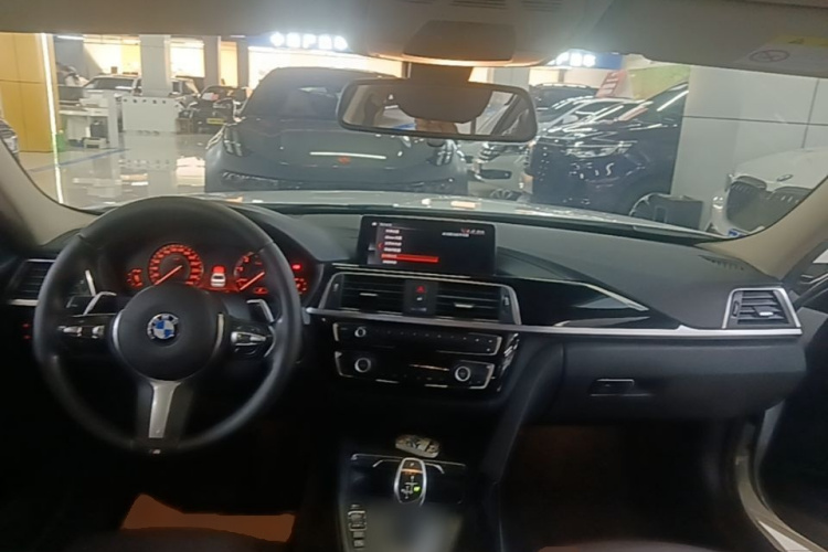 BMW 3 Series 2018 car image #10