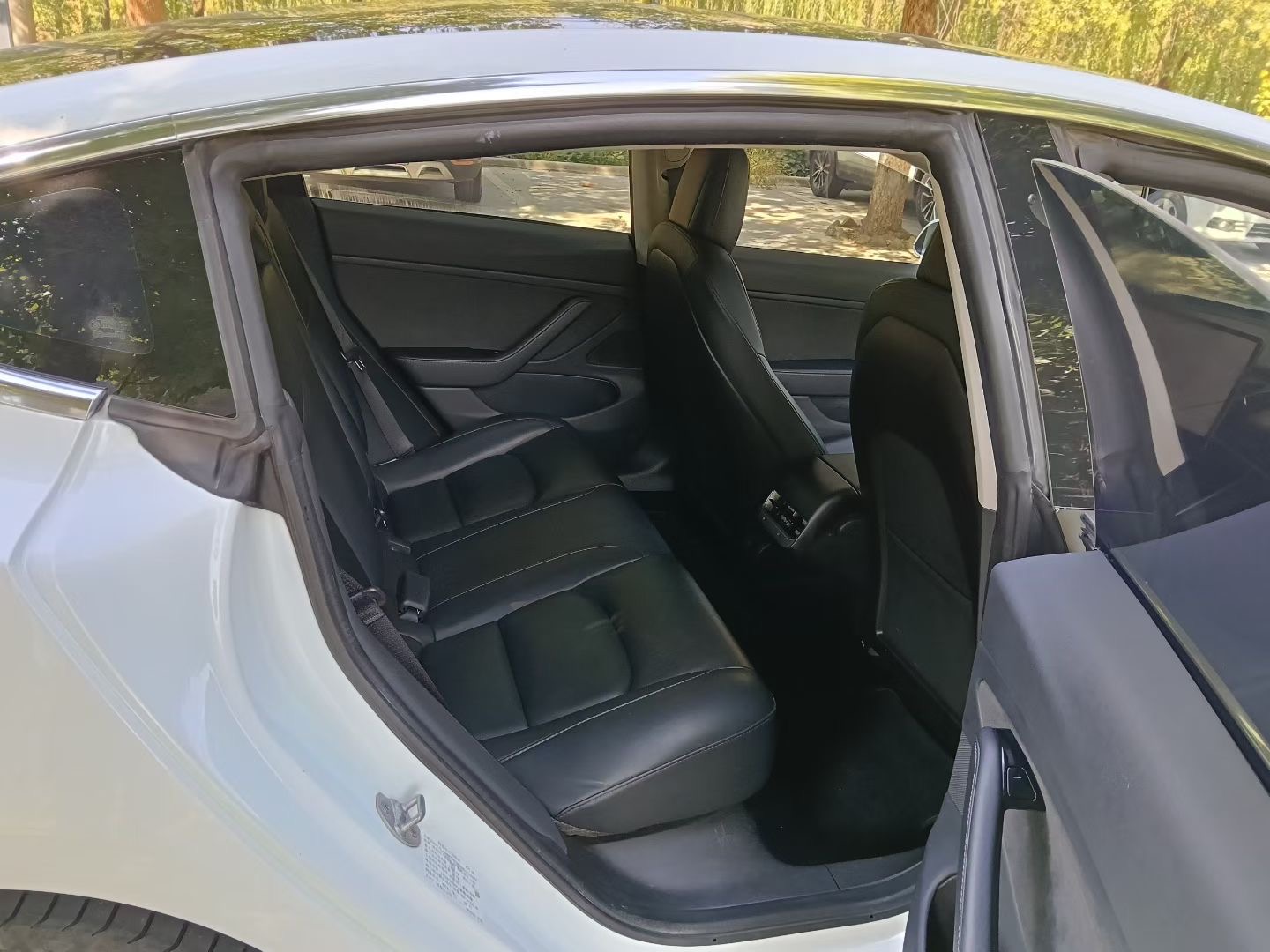 Tesla Model 3 (Imported) 2020 #6 Tesla Model 3 (Imported) 2020 imagen de coche #6