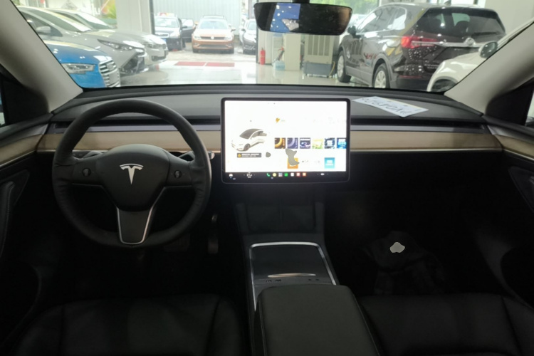 Tesla Model Y 2021 #10 Tesla Model Y 2021 car image #10