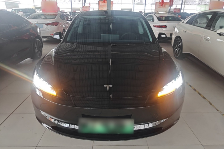 Tesla Model 3 2024 #3 Tesla Model 3 2024 car image #3