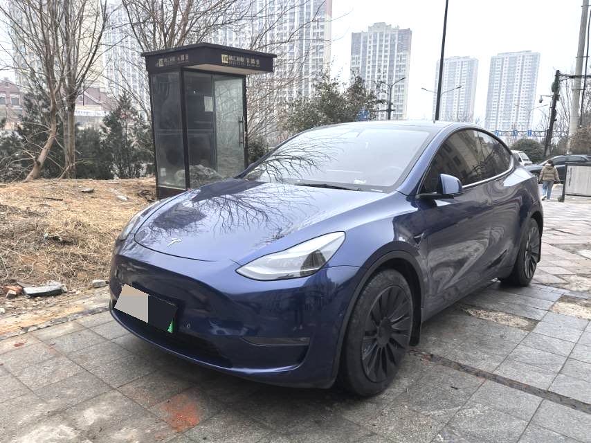 Tesla Model Y 2021 Tesla Model Y 2021 car image