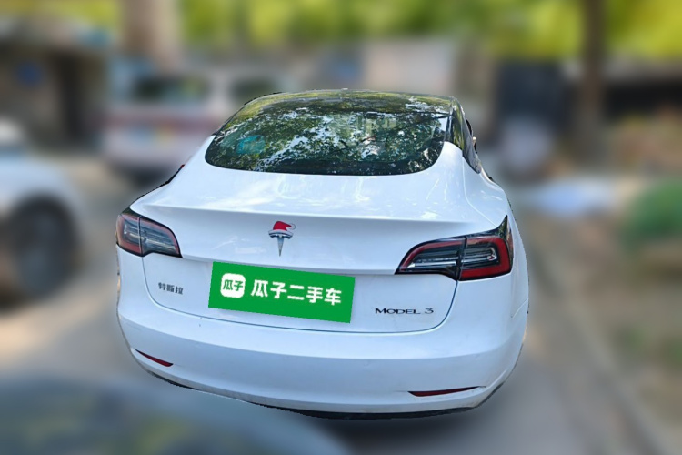 Tesla Model 3 2020 #6 Tesla Model 3 2020 car image #6