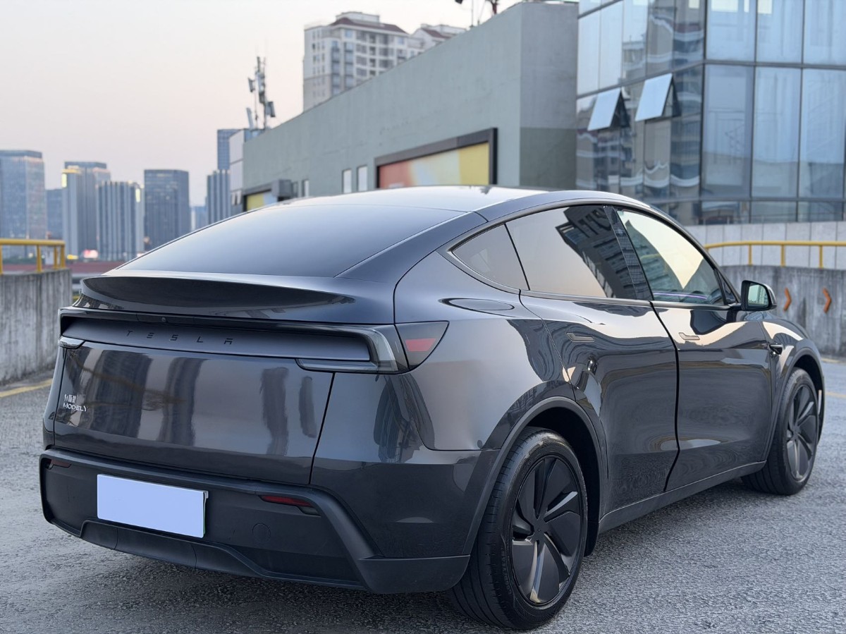 Tesla Model Y 2025 #7 Tesla Model Y 2025 car image #7