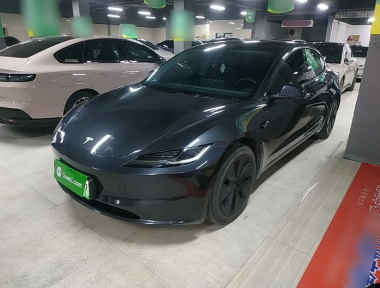 Tesla Model 3 2024 Tesla Model 3 2024 car image