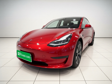 Tesla Model 3 2020 Tesla Model 3 2020 car image
