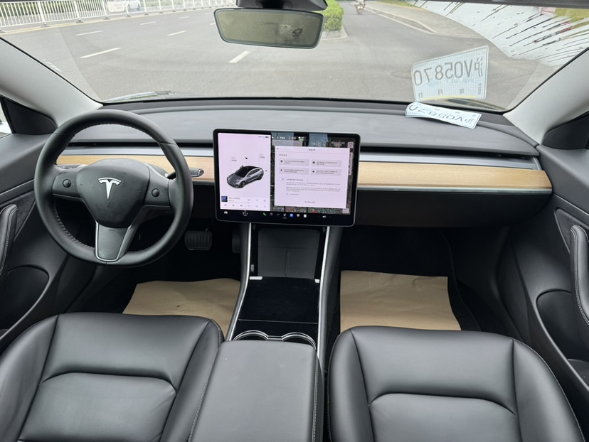 Tesla Model 3 2020 car image #8
