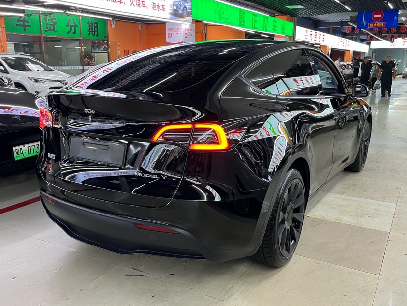 Tesla Model Y 2022 immagine di auto #4