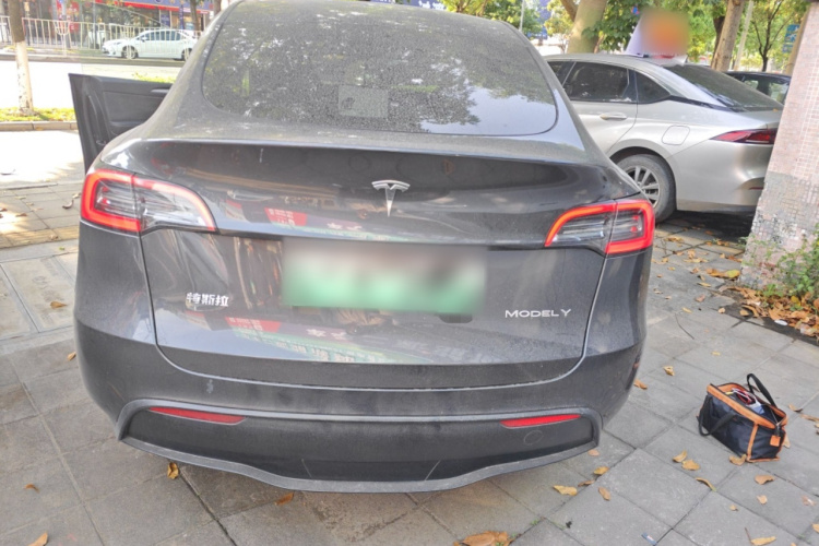 Tesla Model Y 2024 car image #6