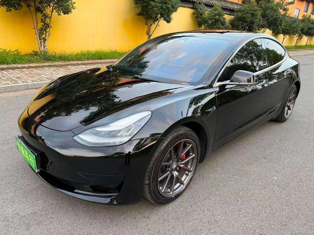 Tesla Model 3 2020 car image #22