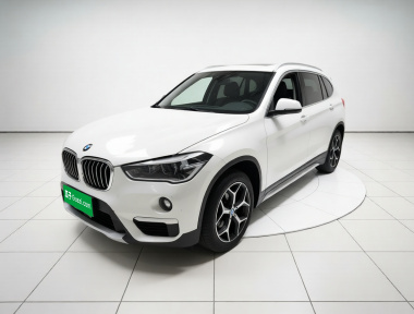 BMW X1 2019 car image 