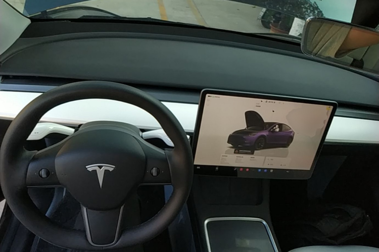 Tesla Model Y 2023 car image #10