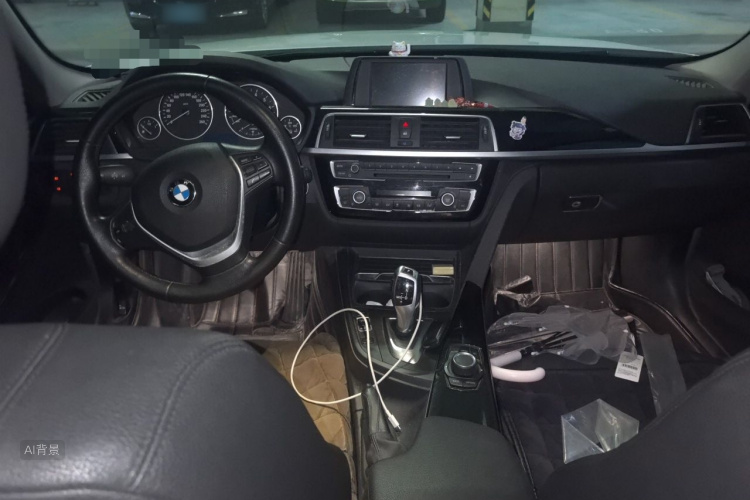 BMW 3 Series 2016 car image #11