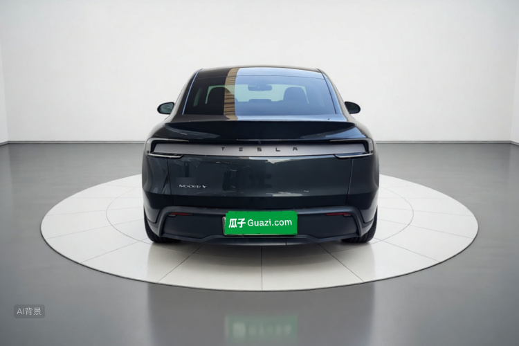Tesla Model Y 2025 car image #6