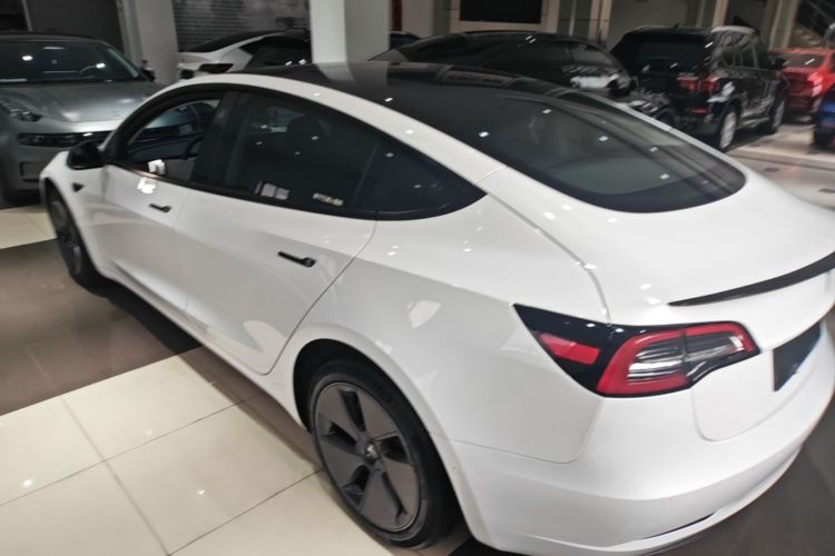 Tesla Model 3 2023 #5 Tesla Model 3 2023 car image #5