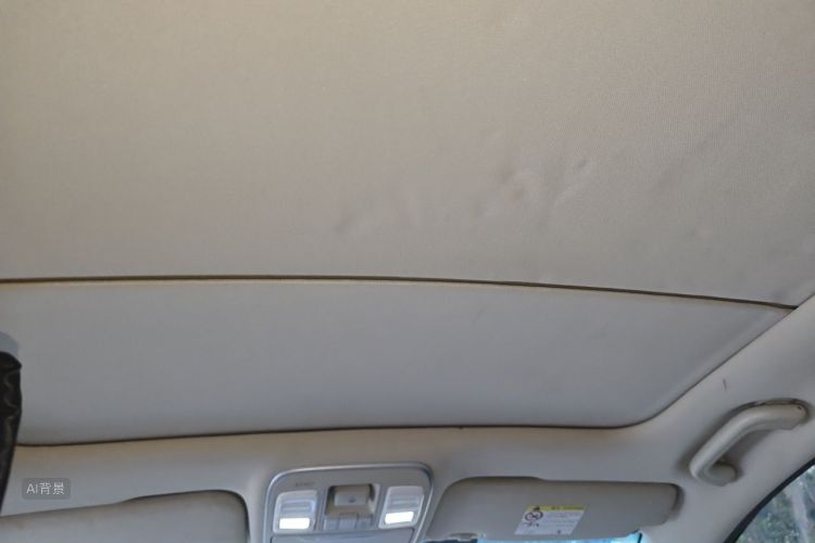 GEELY Emgrand GS 2019 #20 GEELY Emgrand GS 2019 car image #20