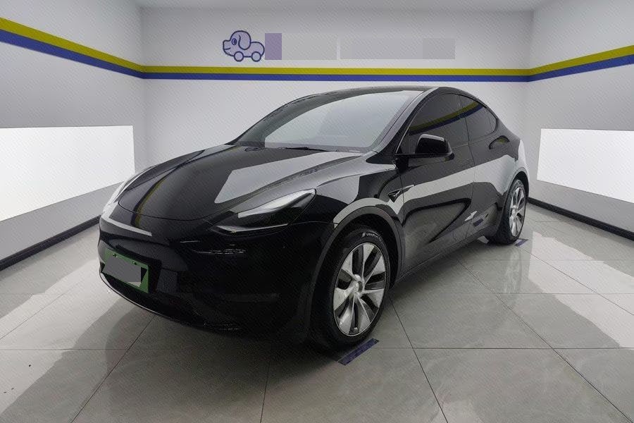 Tesla Model Y 2021 Tesla Model Y 2021 car image