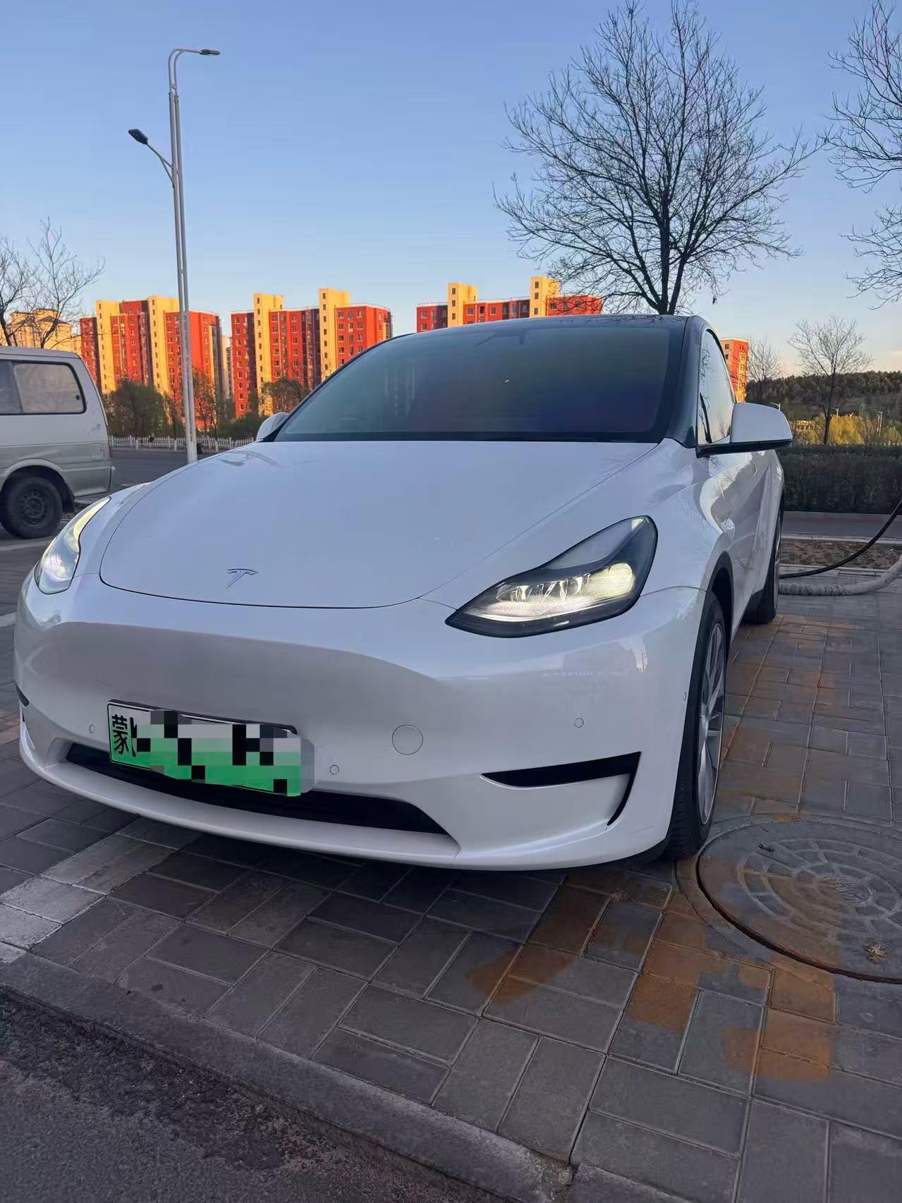 Tesla Model Y 2022 car image 