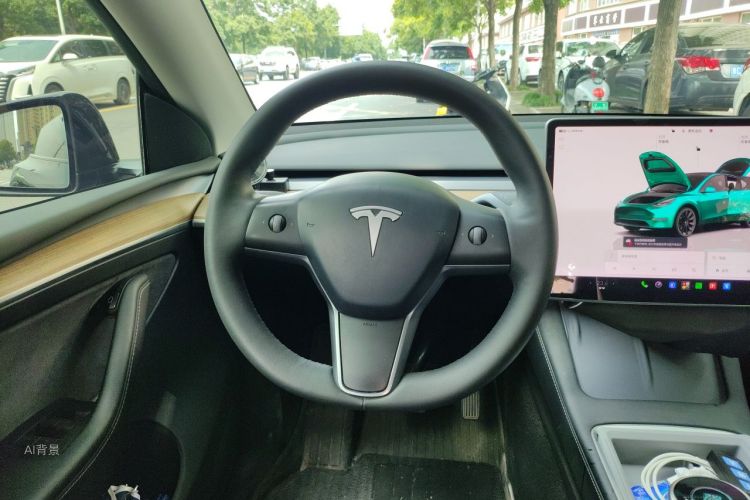 Tesla Model Y 2021 car image #12