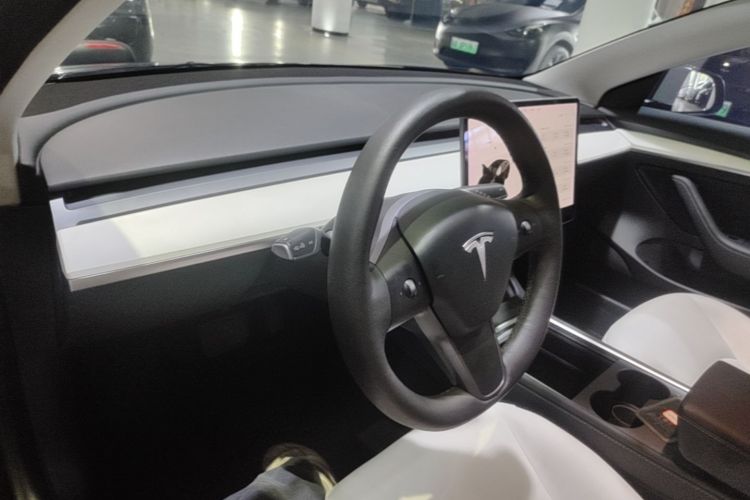Tesla Model 3 2021 car image #10