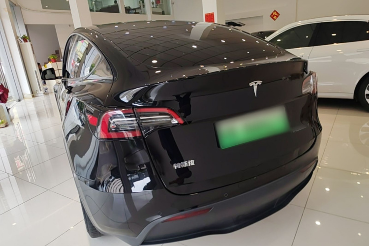 Tesla Model Y 2021 #5 Tesla Model Y 2021 car image #5