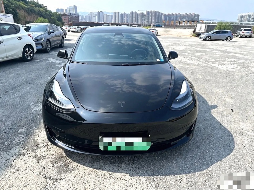 Tesla Model 3 2022 car image #2