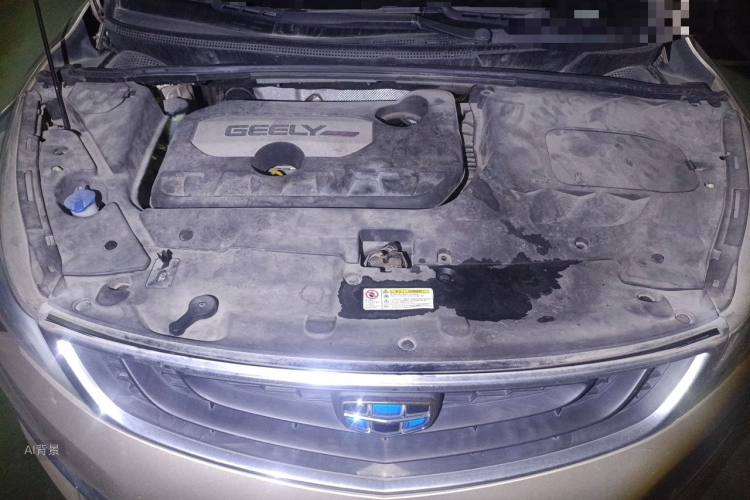 GEELY Emgrand GS 2016 car image #22