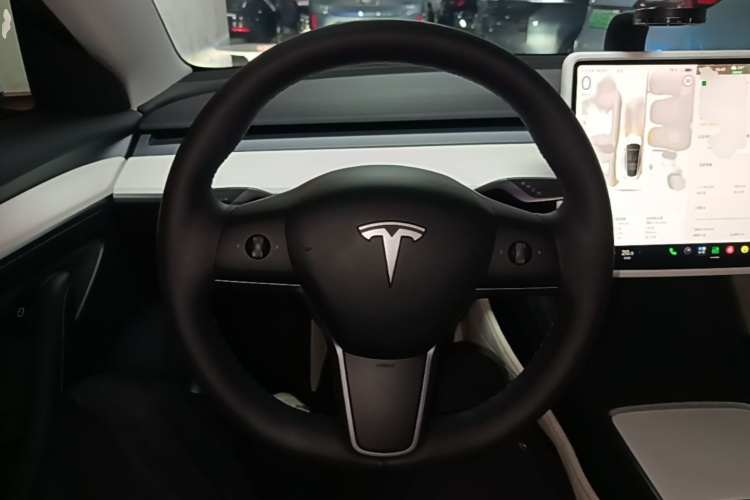 Tesla Model 3 2023 #15 Tesla Model 3 2023 car image #15