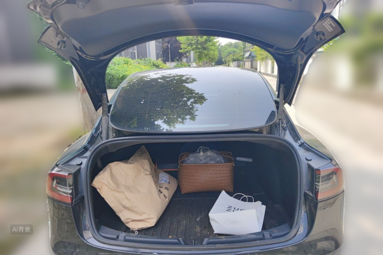 Tesla Model 3 2022 immagine di auto #21