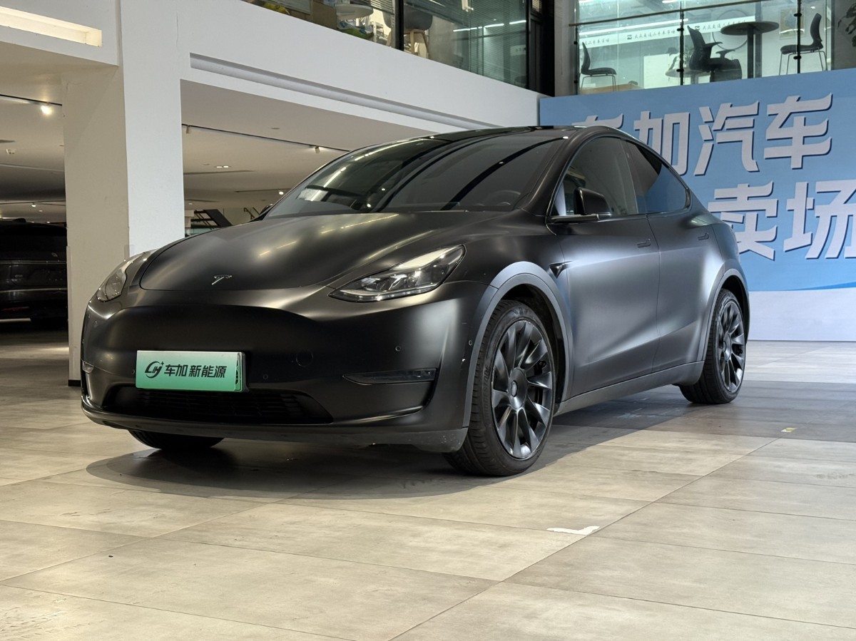 Tesla Model Y 2021 Tesla Model Y 2021 car image