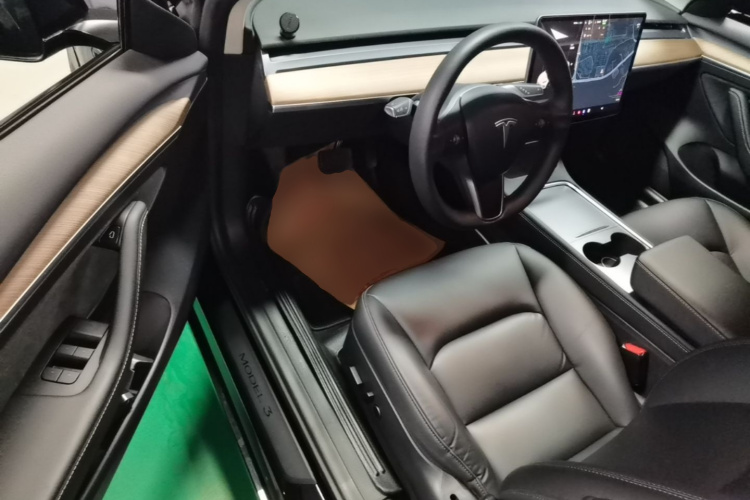 Tesla Model 3 2021 immagine di auto #16
