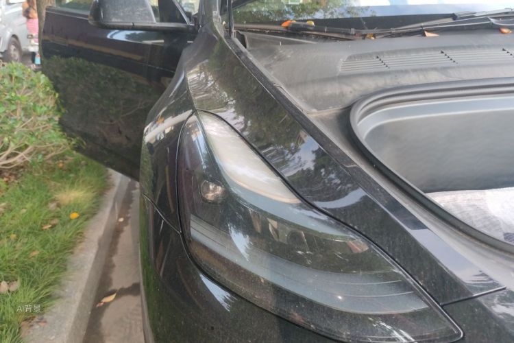 Tesla Model Y 2023 #8 Tesla Model Y 2023 car image #8