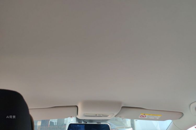 Volkswagen Polo 2019 car image #20