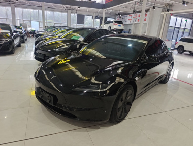 Tesla Model 3 2023 Tesla Model 3 2023 car image