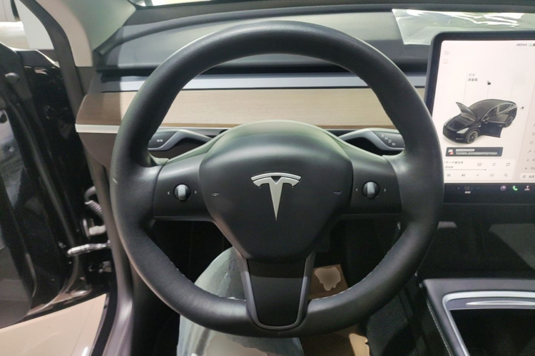 Tesla Model Y 2021 car image #11