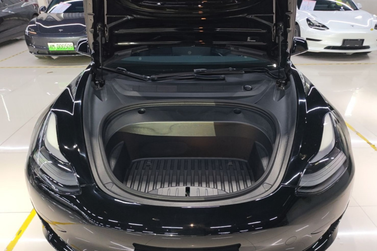Tesla Model 3 2021 car image #20