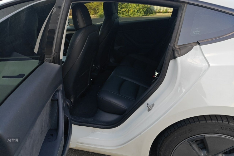 Tesla Model 3 2021 car image #19
