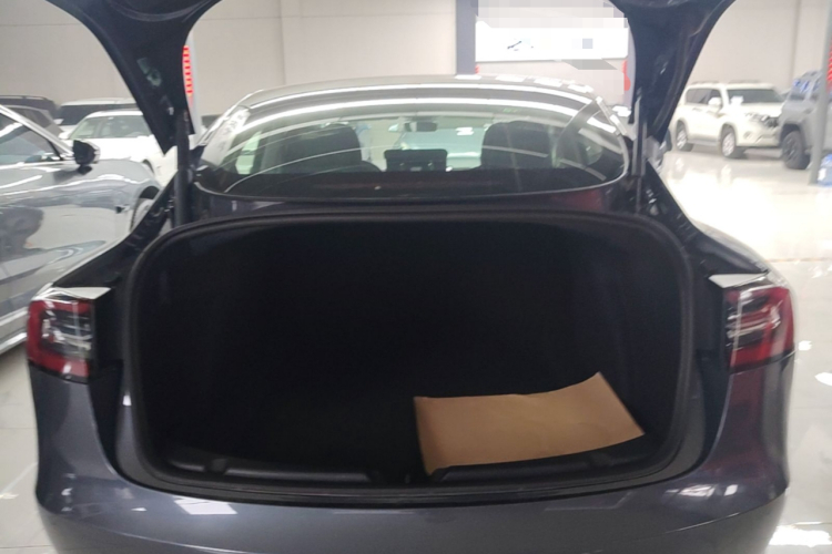 Tesla Model 3 2021 #19 Tesla Model 3 2021 immagine di auto #19