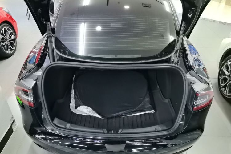 Tesla Model 3 2021 car image #21