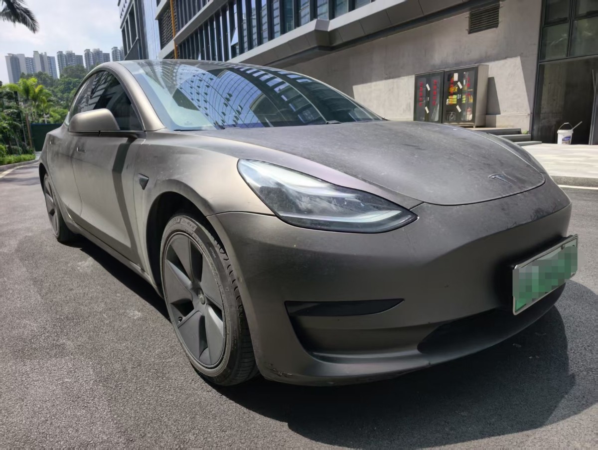 Tesla Model 3 2021 #3 Tesla Model 3 2021 car image #3