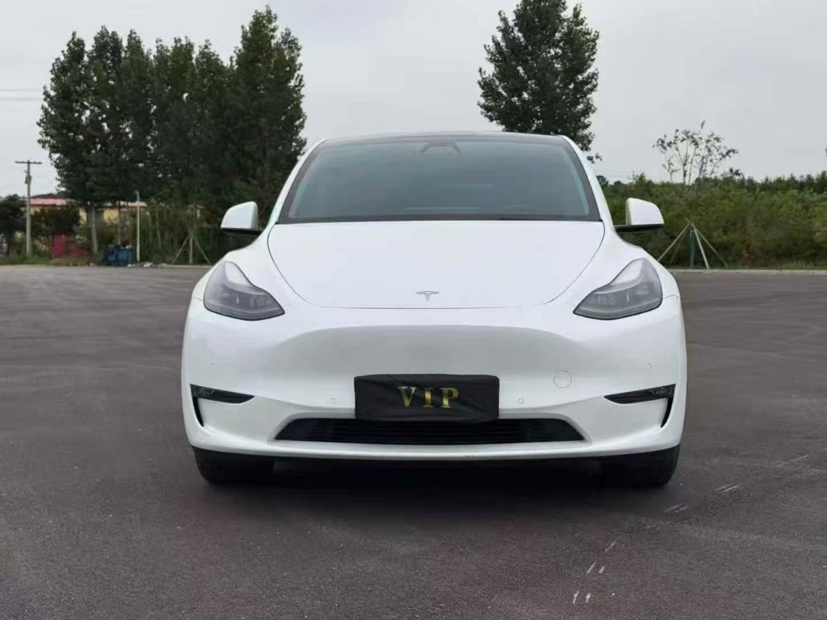 Tesla Model Y 2021 car image #2