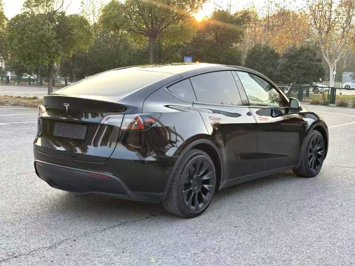 Tesla Model Y 2022 car image #9