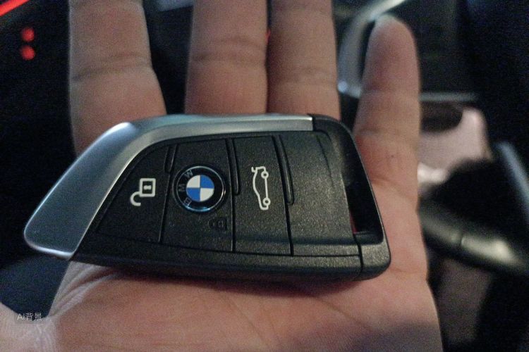 BMW X1 2018 car image #10